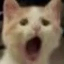 wasoaowowowo