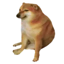 cheems
