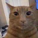 TheScrungler