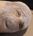 crustypotato crustypotato