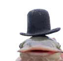 dapper