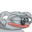 koalaWINK koalaWINK