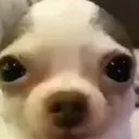 emoji_43