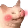 CatBlush