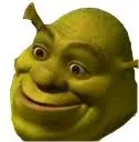 shrekconfusion