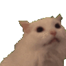 ahh
