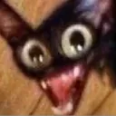 wackcat Discord Emoji