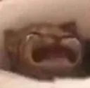 waaa
