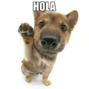 holaaa