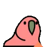 upvote upvote