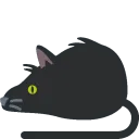 rat_black_cat rat_black_cat