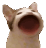 popcat Discord emoji