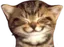 catSmile