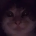 silwa