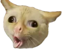cat_cough Discord Emoji