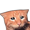 Cry