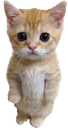 Cat_Standing Discord sticker | Geometry Dash Avenue