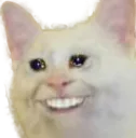 e_Catsadbutalsohappy