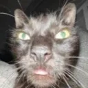 catyo