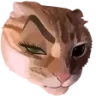catbrow catbrow