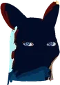 nightcateyes