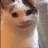 cat_smiling