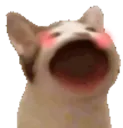 Cat_Pop