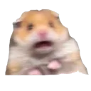 Jtriggered Discord Emoji