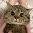 efe3fa4a967872896292c48d9ac1fdb5