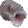 fishpog