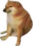DogeCheems