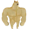 DogeStronk