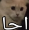 akcemoji_94 Discord emoji