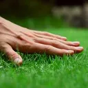 touch_grass touch_grass