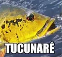 S_pxtucunare