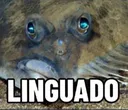 S_linguado