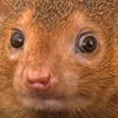 Concern