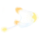 CosmyManta3
