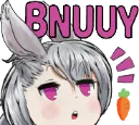 bnuuys bnuuys
