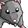 RatJamSoT