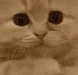 emoji_152