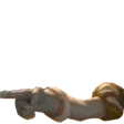 waynerWhiteP