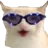 tdogCat