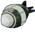 DDT