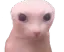 bingus_earless