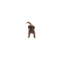 charliepequeno