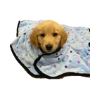 charlieblankie