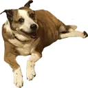 sydneyhappy
