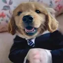 businesscharlie