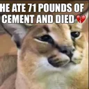 heate71poundsofcement